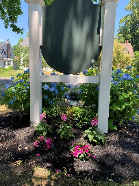 Borough Hall Plantings