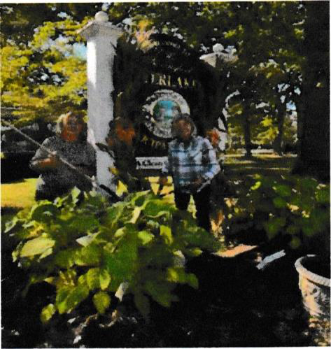 Civic Plantings