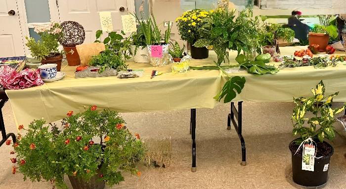 Garden Swap